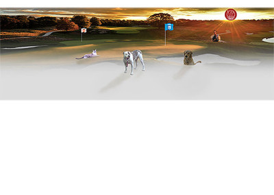 Golf and Pets Composite